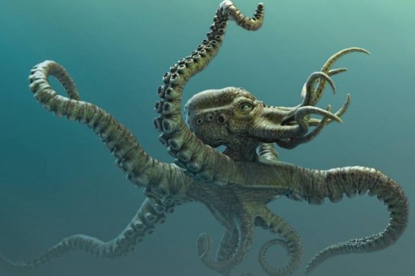 Kraken шоп что это